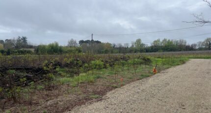 La Brède Terrain à bâtir - 2402291-1803annonce120260122l8WSb.jpeg Maisons Open