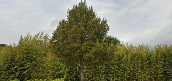 Terrain à bâtir à Fos-sur-Mer, Provence-Alpes-Côte d'Azur