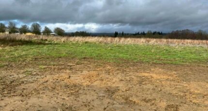 Cerisé Terrain à bâtir - 2403081-3704annonce120260122mx7Pu.jpeg Maisons Open