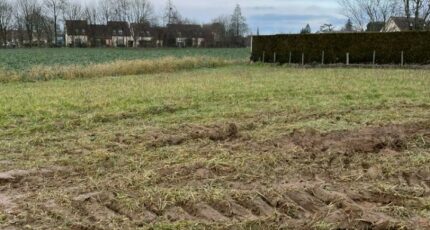 Saint-Rémy-des-Monts Terrain à bâtir - 2403091-3704annonce120260122XG9MK.jpeg Maisons Open