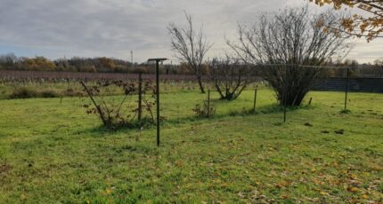 Cubzac-les-Ponts Terrain à bâtir - 2387225-11015annonce1202601094NcZe.jpeg Maisons Open