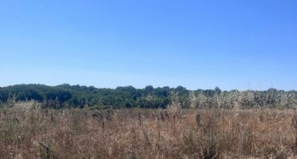 Saint-Augustin Terrain à bâtir - 2310935-11452annonce120251020WwgMZ.jpeg Maisons Open