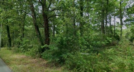 Cestas Terrain à bâtir - 2403316-3601annonce12026012343Fya.jpeg Maisons Open