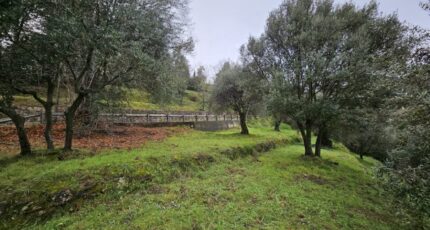 Berre-les-Alpes Terrain à bâtir - 2403348-10633annonce120250605KTmCQ.jpeg Maisons Open