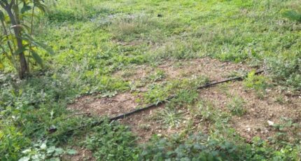 Aubagne Terrain à bâtir - 2403495-7080annonce120251114cUm7X.jpeg Maisons Open