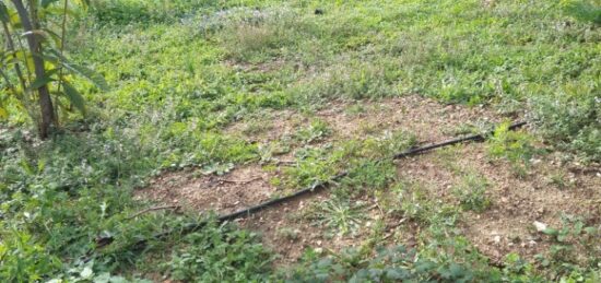 Terrain à bâtir à Aubagne, Provence-Alpes-Côte d'Azur