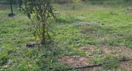 Aubagne Terrain à bâtir - 2403495-7080annonce2202511142mJua.jpeg Maisons Open