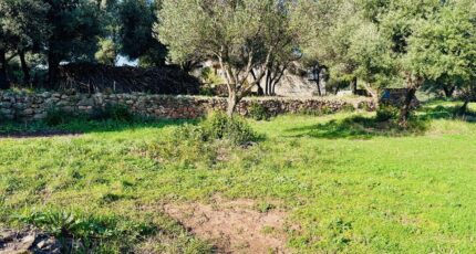 Ollioules Terrain à bâtir - 2403615-4866annonce520260123O4K98.jpeg Maisons Open