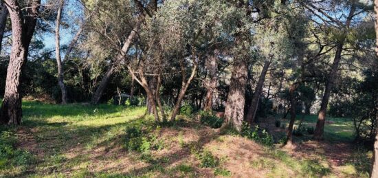 Terrain à bâtir à , Var