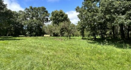 Pornic Terrain à bâtir - 2401445-11110annonce220260122Ru7Ex.jpeg Maisons Open