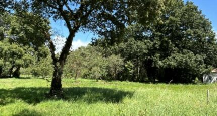 Pornic Terrain à bâtir - 2401445-11110annonce320260122ws9Ey.jpeg Maisons Open