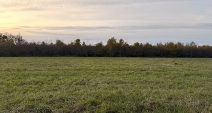 Saint-Laurent-des-Vignes Terrain à bâtir - 2403363-11709annonce220260123W9e87.jpeg Maisons Open