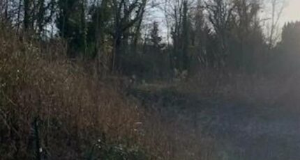 Fublaines Terrain à bâtir - 2303614-11657annonce220251013vLAB3.jpeg Maisons Open