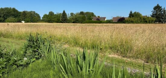 Terrain à bâtir à Longueville, Île-de-France