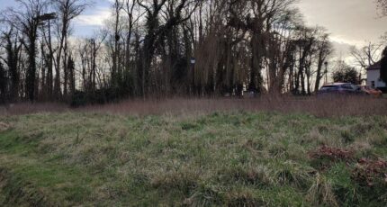 Grisy-Suisnes Terrain à bâtir - 2311762-11657annonce2202510202fUKB.jpeg Maisons Open