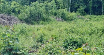 Verneuil-l'Étang Terrain à bâtir - 2355823-11657annonce220251203r3kH0.jpeg Maisons Open