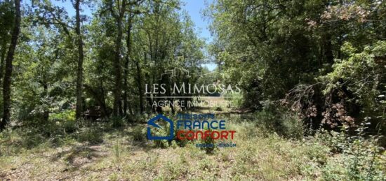 Terrain à bâtir à Bagnols-en-Forêt, Provence-Alpes-Côte d'Azur