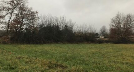 Montans Terrain à bâtir - 2404062-2684annonce220260123euLHP.jpeg Maisons Open