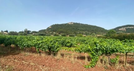 Gonfaron Terrain à bâtir - 2403360-5922annonce220260123DUm3X.jpeg Maisons Open