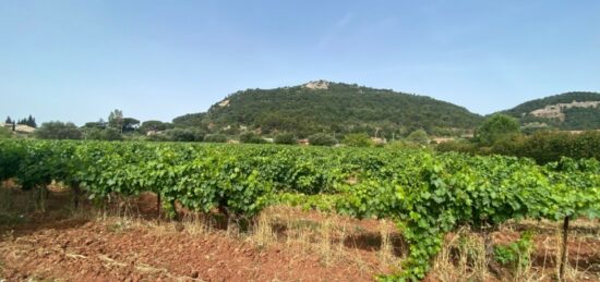 Terrain à bâtir à , Var