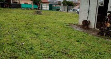 Plaisance-du-Touch Terrain à bâtir - 2403612-9555annonce120260123TKD9f.jpeg Maisons Open