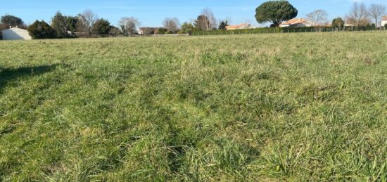 Terrain à bâtir à , Charente-Maritime