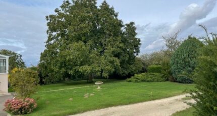 Poisvilliers Terrain à bâtir - 2404534-10924annonce120260123k8aZv.jpeg Maisons Open