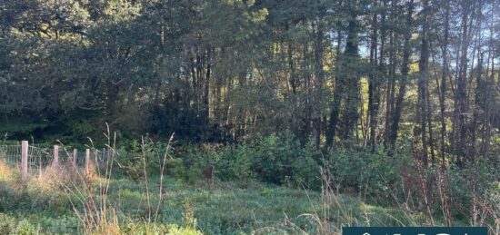 Terrain à bâtir à Saint-Martin-de-Seignanx, Nouvelle-Aquitaine