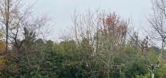 Terrain à bâtir à Blanquefort, Nouvelle-Aquitaine