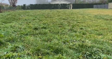 Hourtin Terrain à bâtir - 2404441-11016annonce120260123sbWlz.jpeg Maisons Open