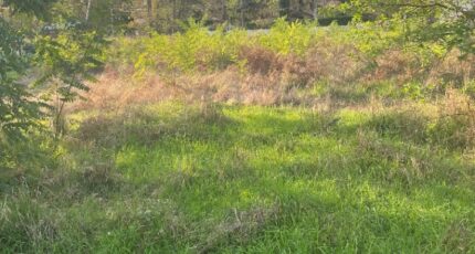 Vertheuil Terrain à bâtir - 2404582-11016annonce120260123X6iOd.jpeg Maisons Open