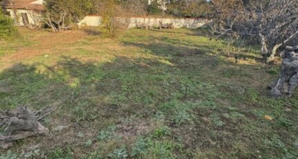 Gignac-la-Nerthe Terrain à bâtir - 2404947-11677annonce220260123BG4eD.jpeg Maisons Open