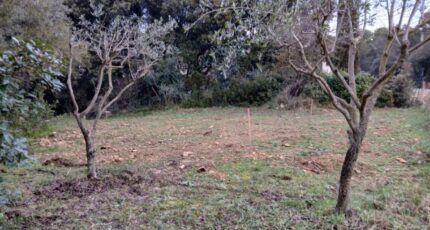 Lambesc Terrain à bâtir - 2405269-11680annonce320260124PKMEA.jpeg Maisons Open