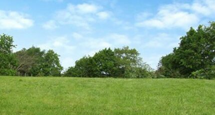 Parçay-Meslay Terrain à bâtir - 2405491-10999annonce120260124833sK.jpeg Maisons Open