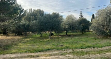 Saint-Chamas Terrain à bâtir - 2405508-11073annonce2202601240QPVG.jpeg Maisons Open