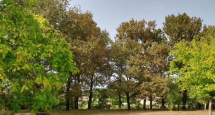 Portets Terrain à bâtir - 2405742-10276annonce120260125VES3l.jpeg Maisons Open