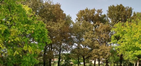 Terrain à bâtir à Portets, Nouvelle-Aquitaine