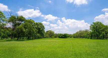 Saint-André-de-Cubzac Terrain à bâtir - 2405708-10276annonce120260125cWbpt.jpeg Maisons Open