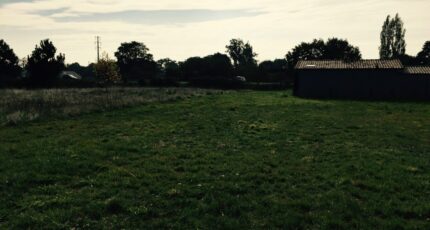 Saint-Magne Terrain à bâtir - 2405586-1804annonce120260125gcSIe.jpeg Maisons Open