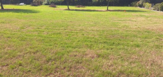 Terrain à bâtir à Saint-Sardos, Occitanie