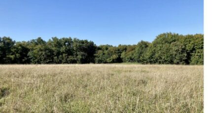 Bouliac Terrain à bâtir - 2406065-9575annonce120241201qTwuP.jpeg Maisons Open