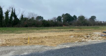 Artigues-près-Bordeaux Terrain à bâtir - 2406412-11689annonce120251119Dhuhv.jpeg Maisons Open