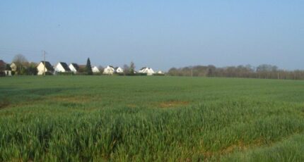 Saint-Arnoult Terrain à bâtir - 2309874-1887annonce120251018d654y.jpeg Maisons Open