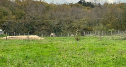 Loupes Terrain à bâtir - 2388812-11684annonce120251126XcZ5X.jpeg Maisons Open