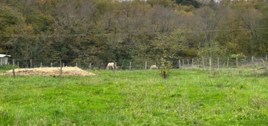 Terrain à bâtir à Loupes, Nouvelle-Aquitaine