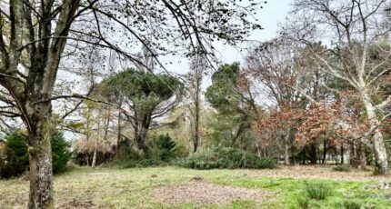 Fargues-Saint-Hilaire Terrain à bâtir - 2388815-11684annonce120251126rcHen.jpeg Maisons Open