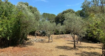 Camps-la-Source Terrain à bâtir - 2406508-10122annonce120260126530AC.jpeg Maisons Open