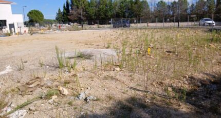 Combaillaux Terrain à bâtir - 2406943-11040annonce120260126GBgJJ.jpeg Maisons Open