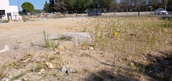 Terrain à bâtir à Combaillaux, Occitanie