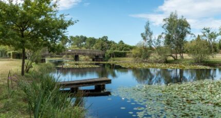 Hourtin Terrain à bâtir - 2406817-11370annonce120260126ZyCv8.jpeg Maisons Open